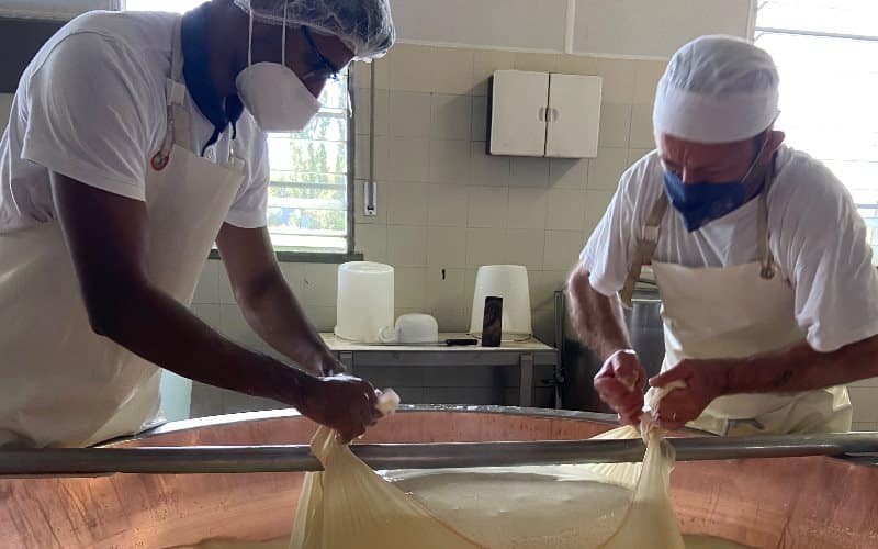 Parmigiano-Reggiano-cheese-factory-tour