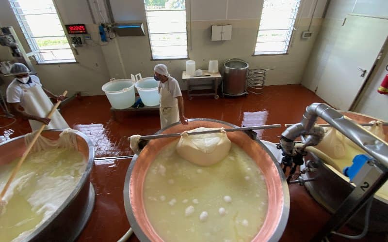 Parmigiano-Reggiano-cheese-factory-tour