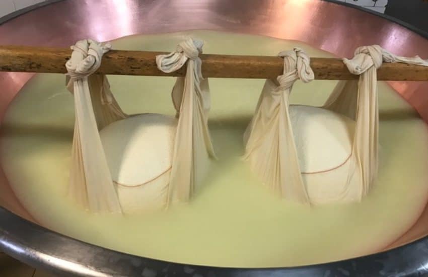 Parmigiano-Reggiano-cheese-factory-tour