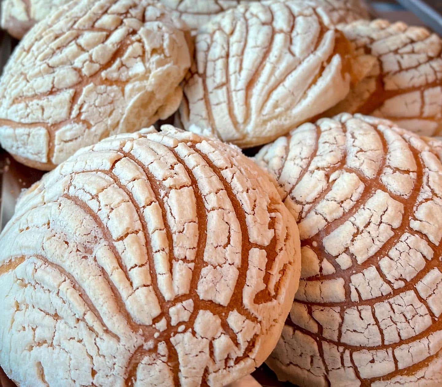 Conchas (Pan Dulce or Mexican Sweet Bread) - Miz En Place