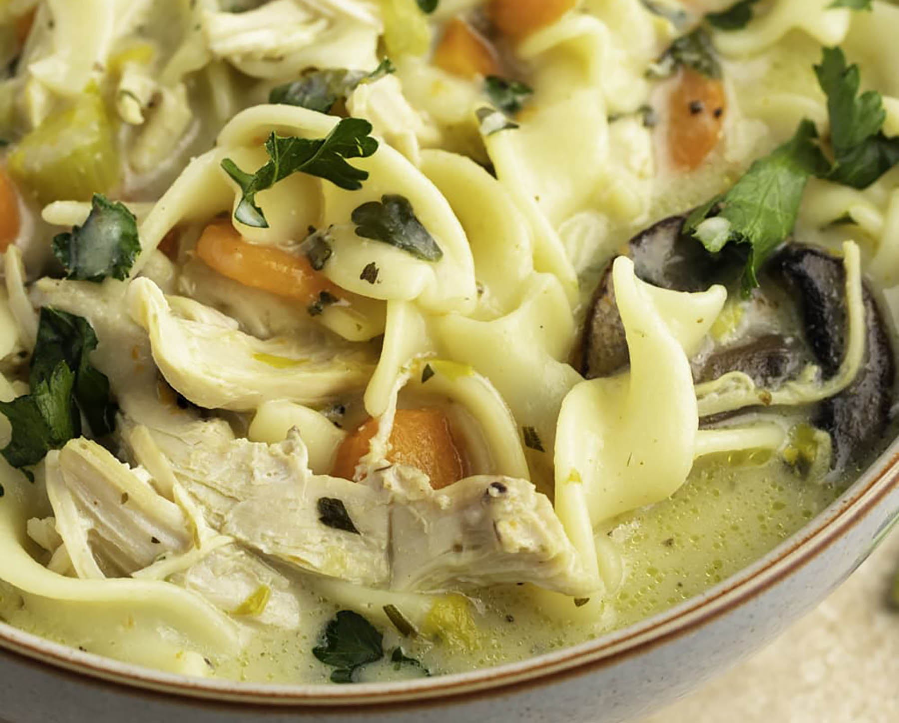 Creamy Chicken Noodle Soup - Miz En Place