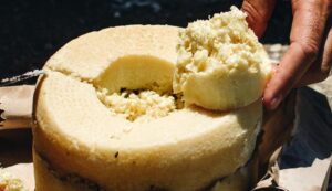 Casu-Marzu Casu-Marzu