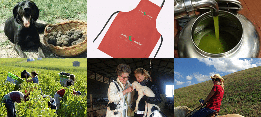 Molise Italy: Truffle Hunting, Tasting, & Meal