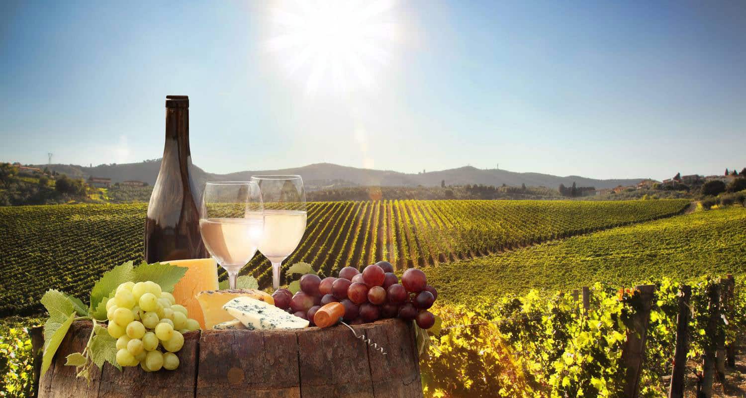 Gourmet Wine Tours of South Africa