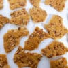 Missouri Pecan Brittle, 8 oz bag (available in a box of 6 or 12 bags)