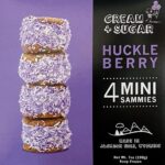 MiniSand-Huckleberry-2-min