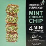 MiniSand-MintChocolateChip-2-min