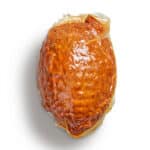 AS-LambHam-TikkaMasala-2