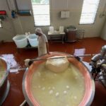 -8WYD9T-Parmigiano-Reggiano-cheese-factory-tour