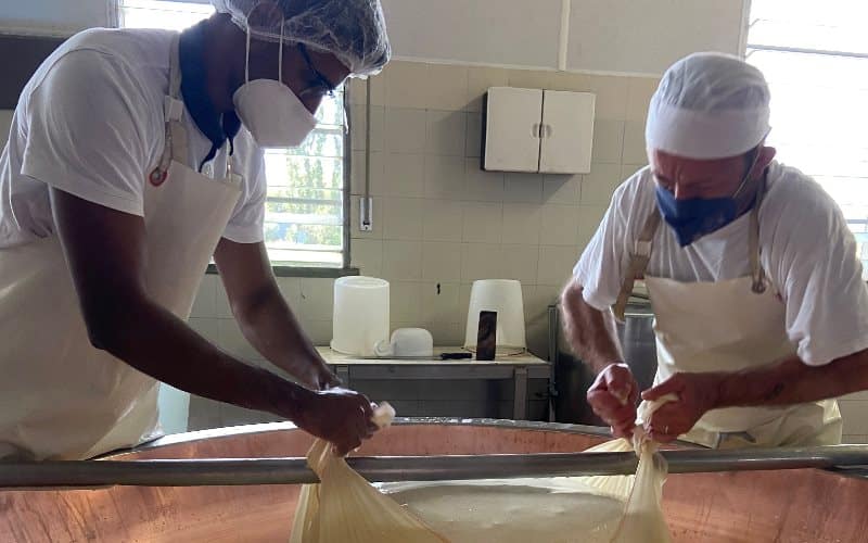 Parmigiano-Reggiano-Cheese