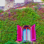 Screenshot_7
