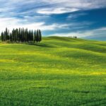 -VNWOTP-San-Gimignano-Chianti-Montalcino