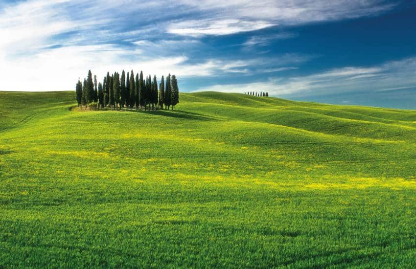 -Z9175I-San-Gimignano-Chianti-Montalcino