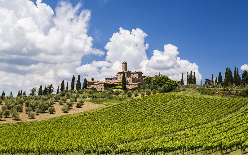 -Z9175I-San-Gimignano-Chianti-Montalcino