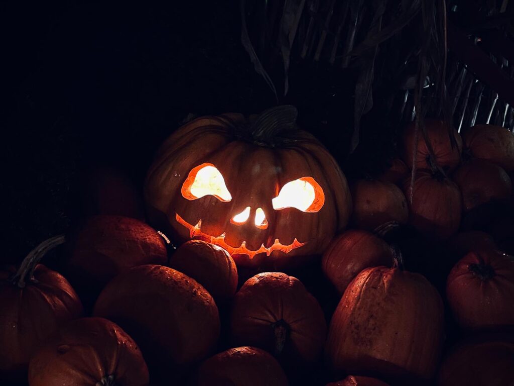 Carved jack o lantern for halloween