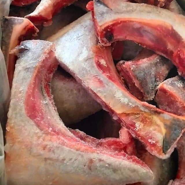 Raw tuna collar