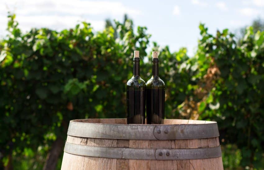 Dinner in the Chianti Vineyards