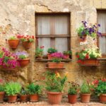 -5NQGZW-Chianti-Half-Day-Wine-Tour-florence