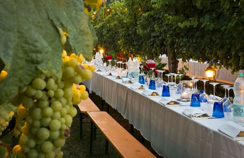 Dinner in the Chianti Vineyards