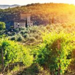 -NLTTL7-Chianti-Half-Day-Wine-Tour-florence