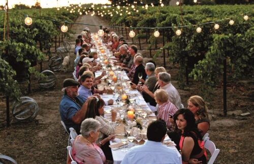 Dinner in the Chianti Vineyards