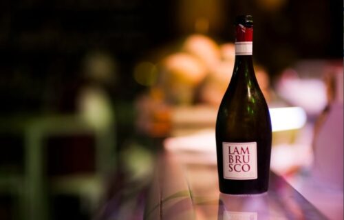 Lambrusco Wine Tour & Tasting