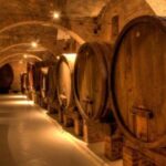 Lambrusco Wine Tour & Tasting