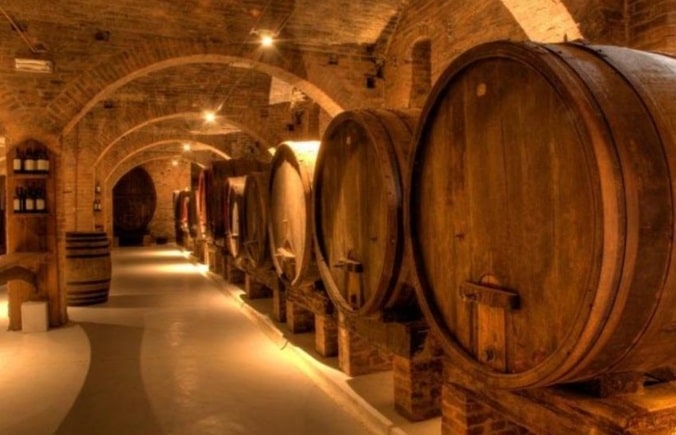 Lambrusco Wine Tour & Tasting