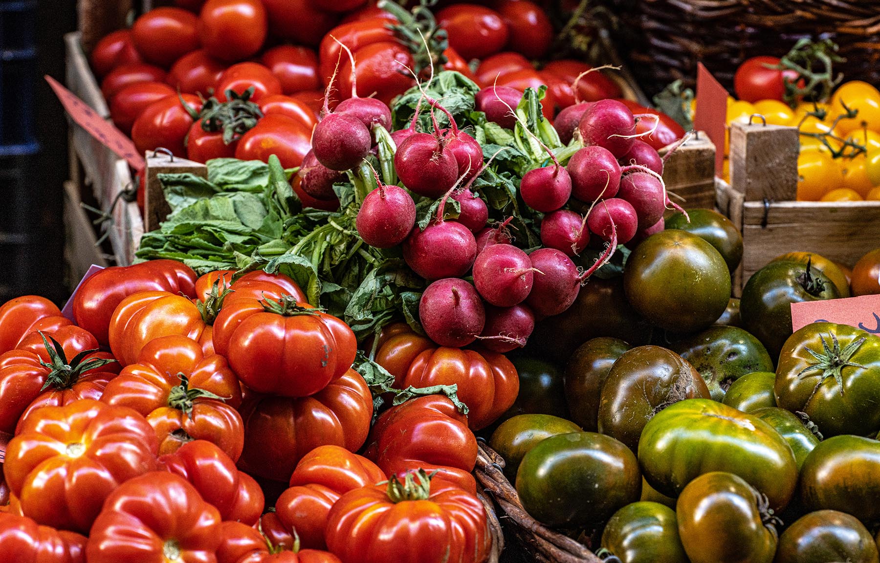 Mercato Centrale