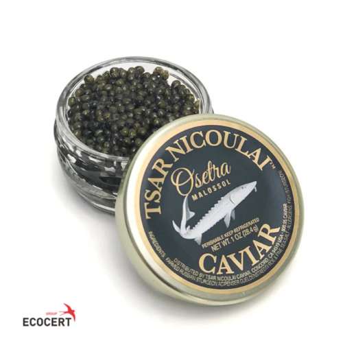 Screenshot_7 Screenshot_7