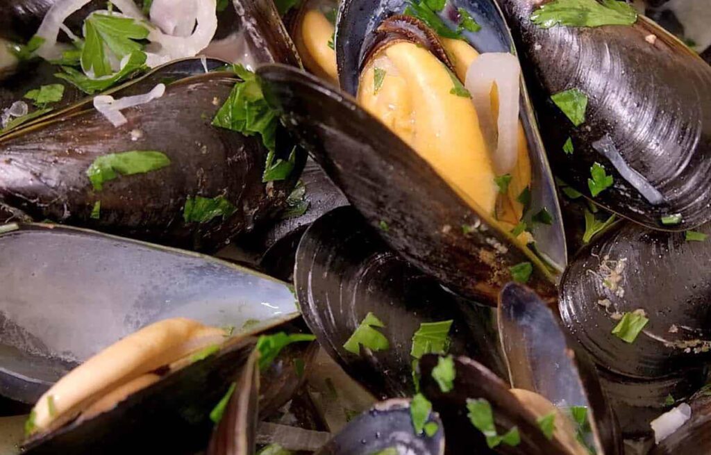 Steamed Mussels