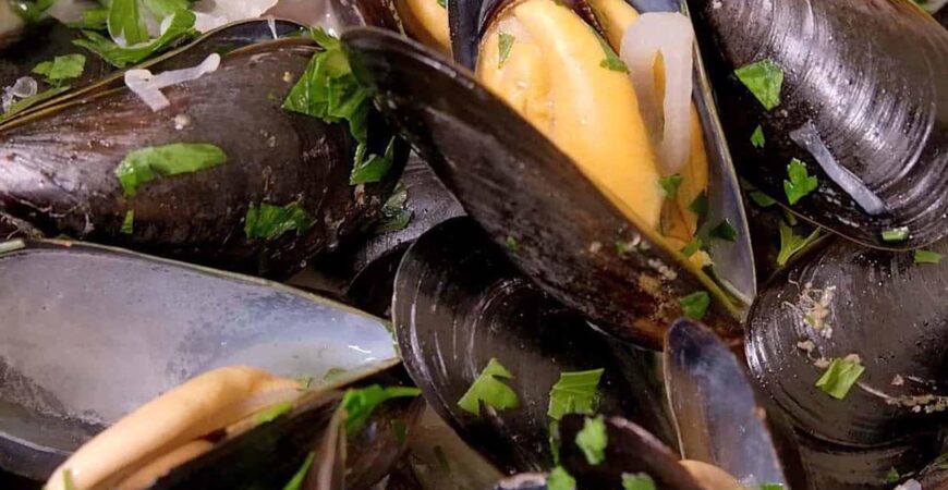 Steamed Mussels