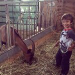 cheese-making-organic-farm-tuscany-3